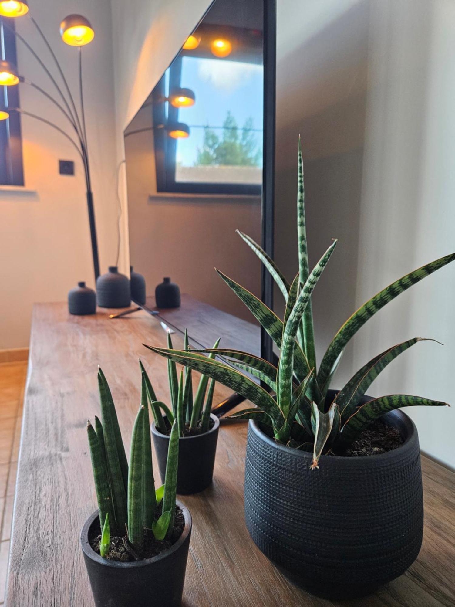 Vakantiewoning Maison Mathiz Middelkerke Dış mekan fotoğraf